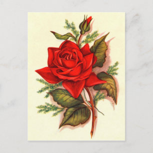 Atemberregendes viktorianisches rotes Rosenbouquet Postkarte