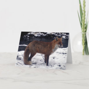 Atemberstarker Rotfuchs im Schnee Wildtiere Winter Karte