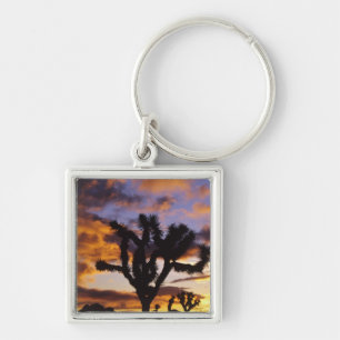 Atemember Sonnenaufgang im Joshua Tree National Pa Schlüsselanhänger