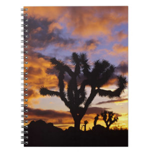 Atemosphärischer Sonnenaufgang im Joshua Tree Nati Notizblock