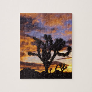 Atemosphärischer Sonnenaufgang im Joshua Tree Nati Puzzle