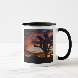 Atemosphärischer Sonnenaufgang im Joshua Tree Nati Tasse
