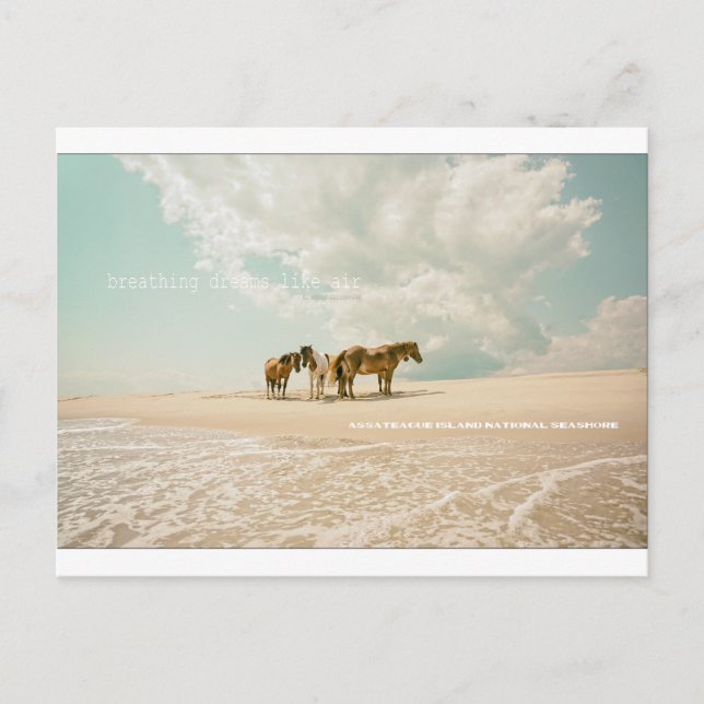 Atemträume wie eine Postkarte (Vorderseite)