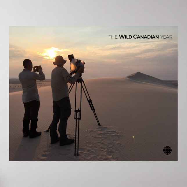 Athabasca Sand Dunes Poster (Vorne)