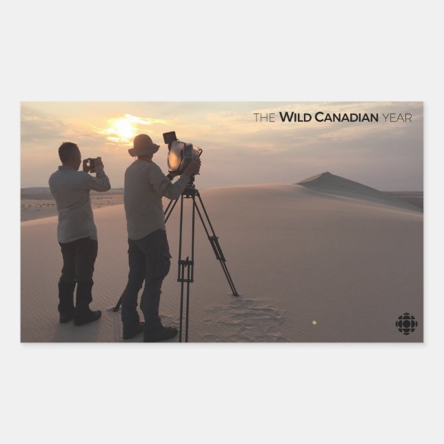 Athabasca Sand Dunes Rechteckiger Aufkleber (Vorderseite)