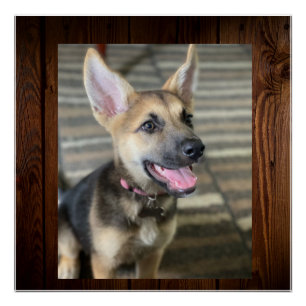 Athena Welppy Poster