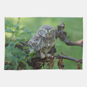Athene noctua handtuch