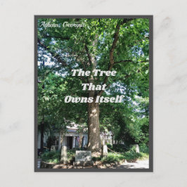 Athens Georgia USA Postcard GA Postkarte