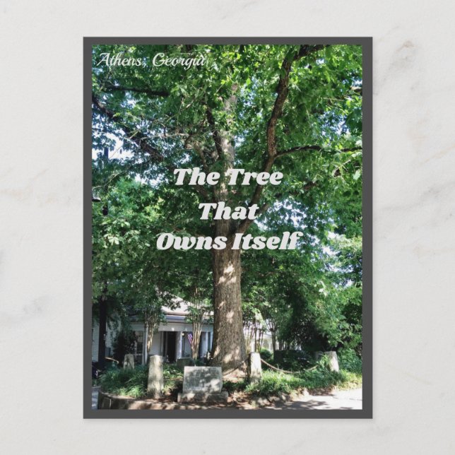 Athens Georgia USA Postcard GA Postkarte (Vorderseite)