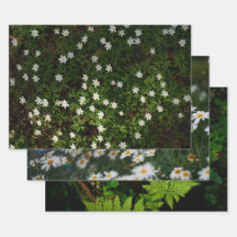 Ätherische Waldflora, Set aus 3 Kunstfotos