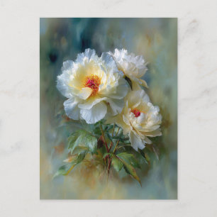 Ätherische weiße Pfingstrosen in Blüte Postkarte