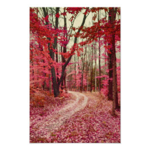 Ätherischer Waldweg mit roten Herbstfarben Fotodruck