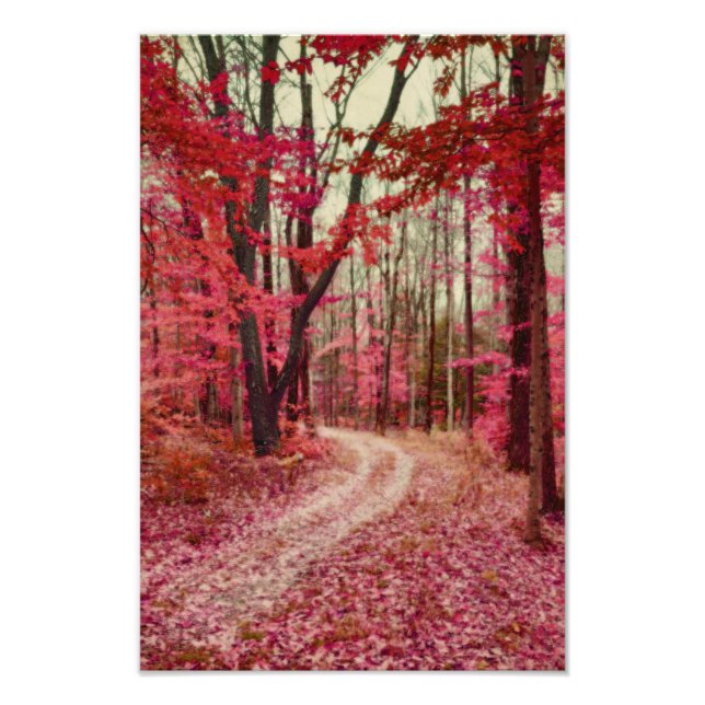 Ätherischer Waldweg mit roten Herbstfarben Fotodruck (Vorne)