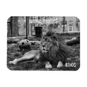 Athos - magnet