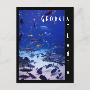 Atlanta Aquarium, Georgia Postkarte