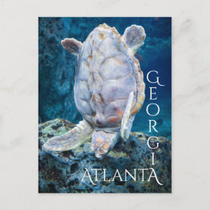 Atlanta Georgia Turtle Dive Postkarte