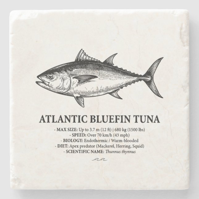 Atlantic Bluefin Tuna Scientific Illustration  Steinuntersetzer (Vorderseite)