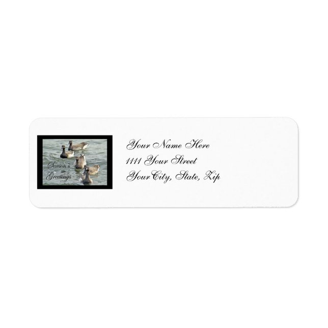 Atlantic Brant Geese Season's Greetings Series (Vorne)