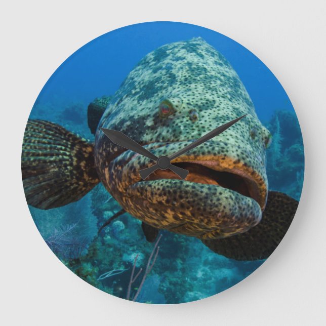 Atlantic Goliath Grouper Große Wanduhr (Vorderseite)