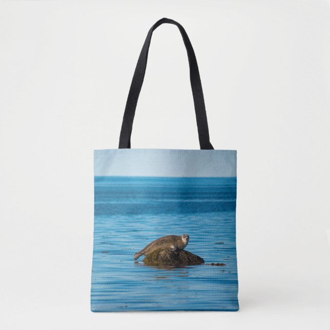 Atlantic Harbor Seal (Vorderseite)