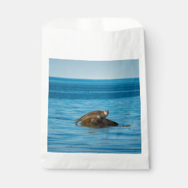Atlantic Harbor Seal Geschenktütchen
