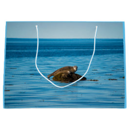 Atlantic Harbor Seal Große Geschenktüte