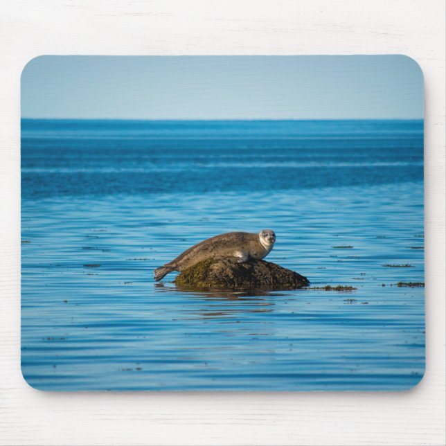 Atlantic Harbor Seal Mousepad (Vorne)
