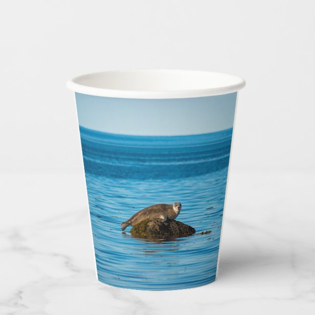 Atlantic Harbor Seal Pappbecher (Vorderseite)