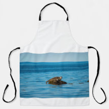 Atlantic Harbor Seal