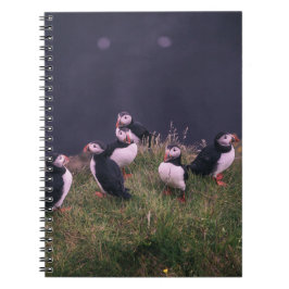 Atlantic Puffers Notebook Notizblock