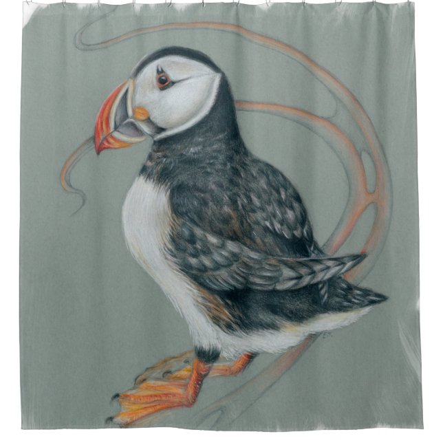 Atlantic Puffin Bird Art Drawing Duschvorhang (Vorderseite)