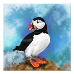 Atlantic Puffin Bird Foto Print - Malerei