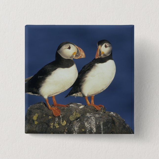 Atlantic Puffin Button (Vorderseite)