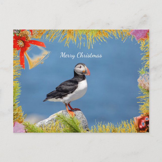 Atlantic Puffin Christmas Card Feiertagspostkarte (Vorderseite)