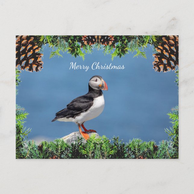 Atlantic Puffin Christmas Card Feiertagspostkarte (Vorderseite)