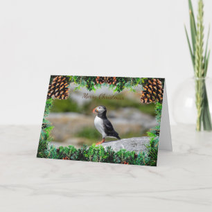 Atlantic Puffin Christmas Card Karte