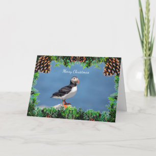 Atlantic Puffin Christmas Card Karte