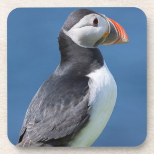 Atlantic Puffin (Fratercula Arctica) auf der Klipp Getränkeuntersetzer