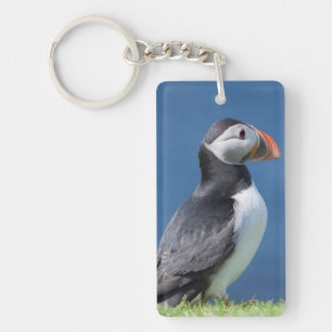 Atlantic Puffin (Fratercula Arctica) auf der Klipp Schlüsselanhänger