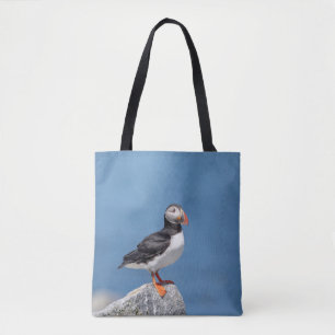 Atlantic Puffin in Machias, Maine