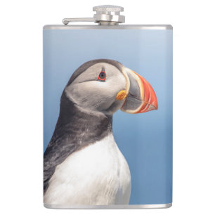 Atlantic Puffin in Machias, Maine Flachmann