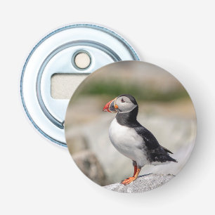 Atlantic Puffin in Machias, Maine Flaschenöffner