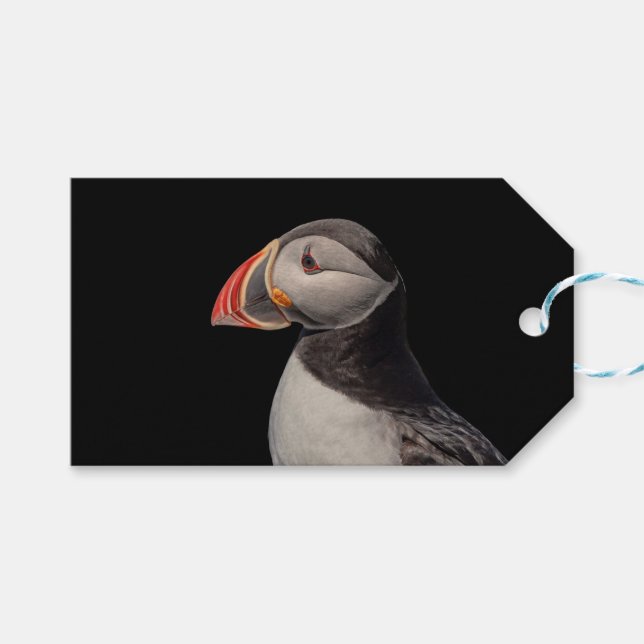 Atlantic Puffin in Machias, Maine Geschenkanhänger (Vorderseite (Horizontal))