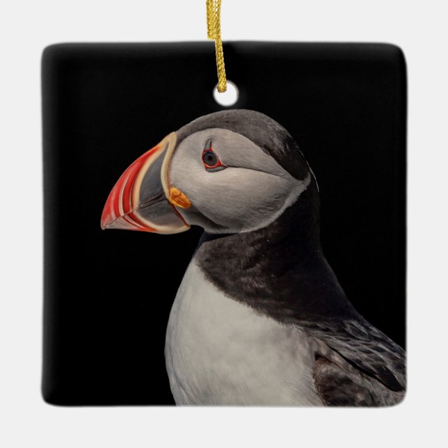Atlantic Puffin in Machias, Maine Keramikornament (Vorderseite)