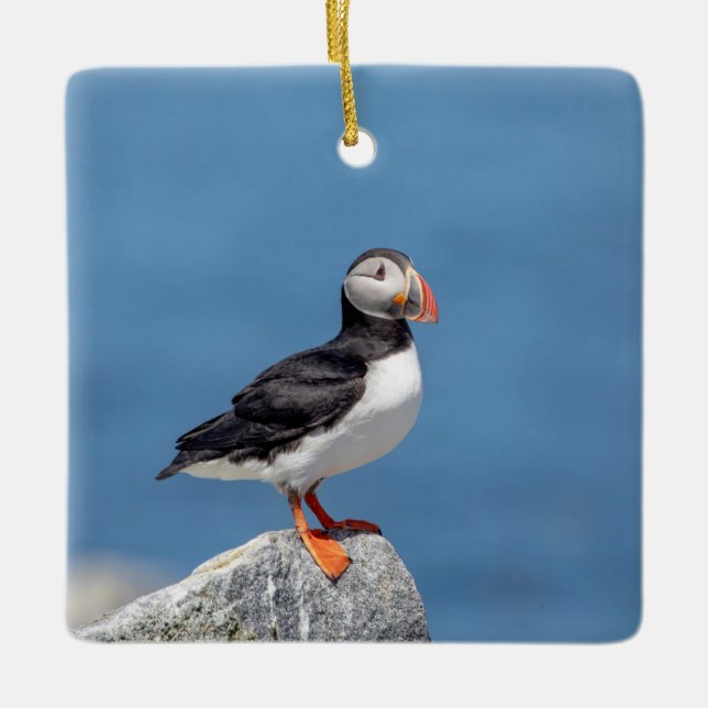 Atlantic Puffin in Machias, Maine Keramikornament (Vorderseite)