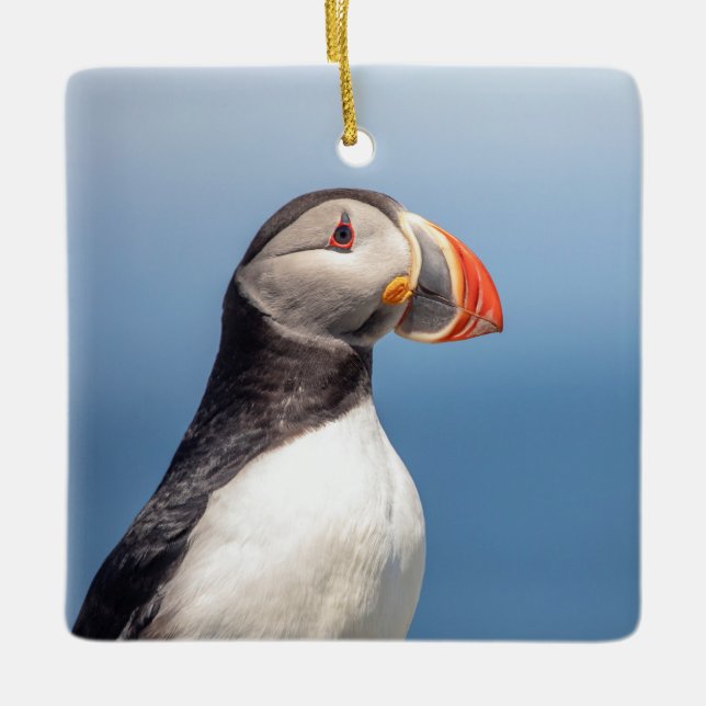 Atlantic Puffin in Machias, Maine Keramikornament (Vorderseite)