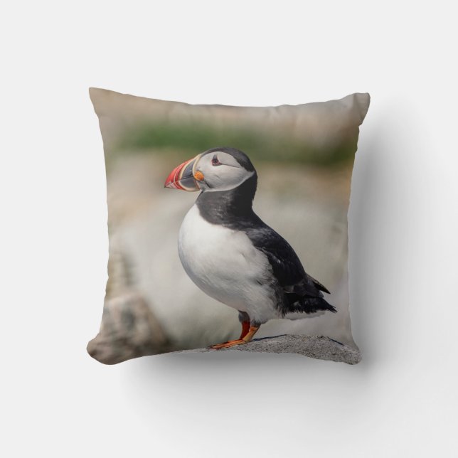 Atlantic Puffin in Machias, Maine Kissen (Vorderseite)
