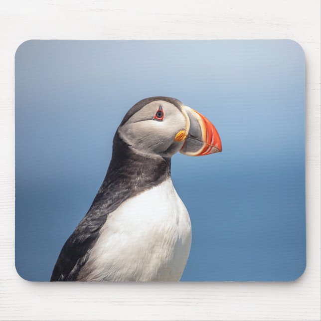 Atlantic Puffin in Machias, Maine Mousepad (Vorne)