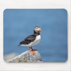 Atlantic Puffin in Machias, Maine Mousepad