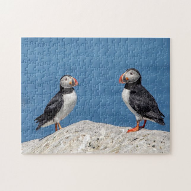 Atlantic Puffin in Machias, Maine Puzzle (Horizontal)